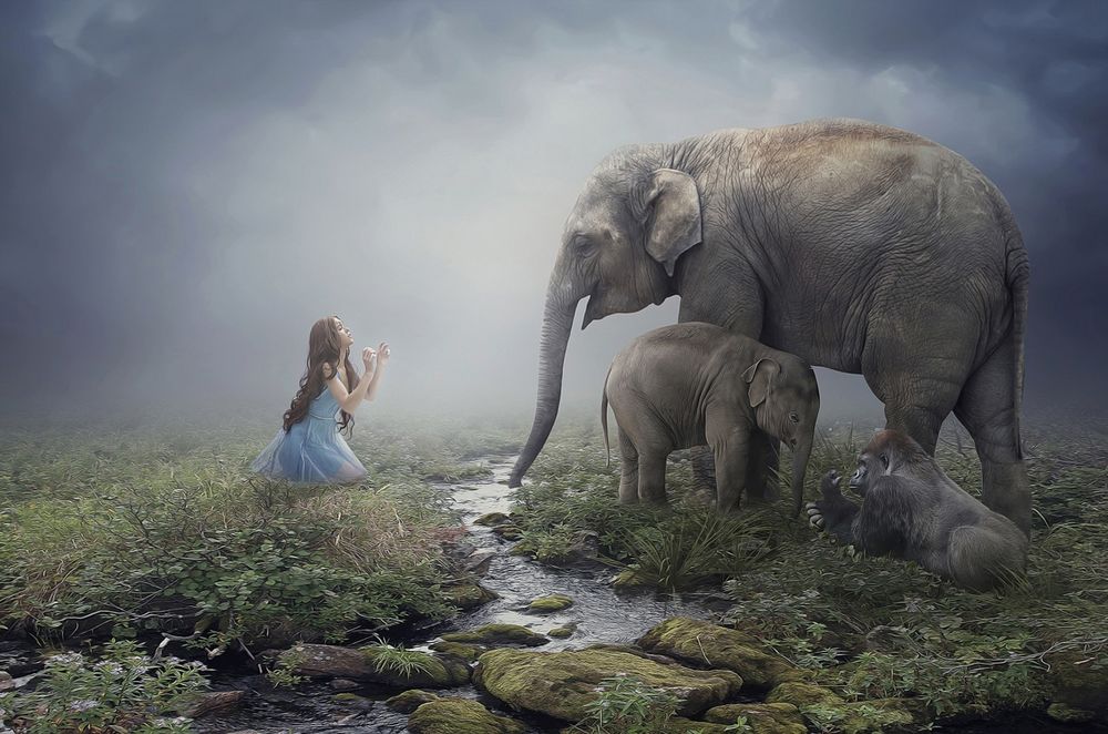 Обои для рабочего стола Девушка сидит на коленях у ручья, рядом слониха со маленьким слоненком и обезьяна
