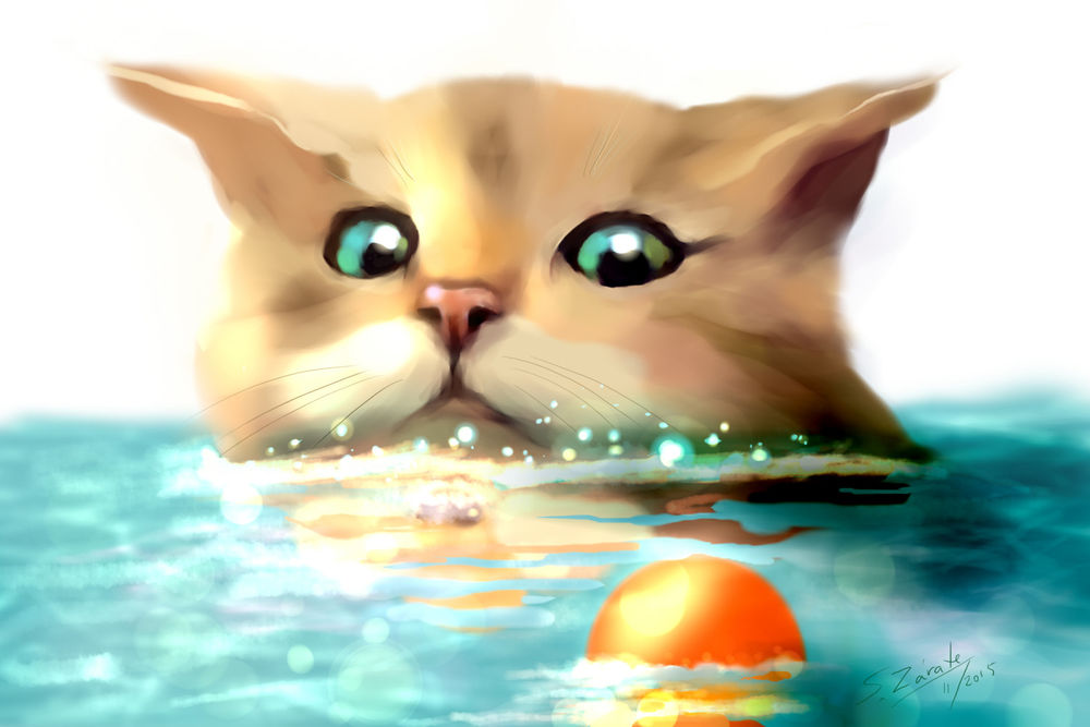 Обои для рабочего стола Котенок в воде, by Susana Z&;rate