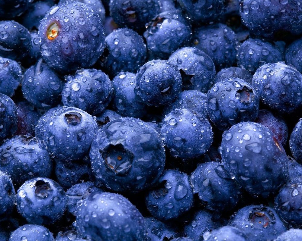 ягода вытянутая синего цвета