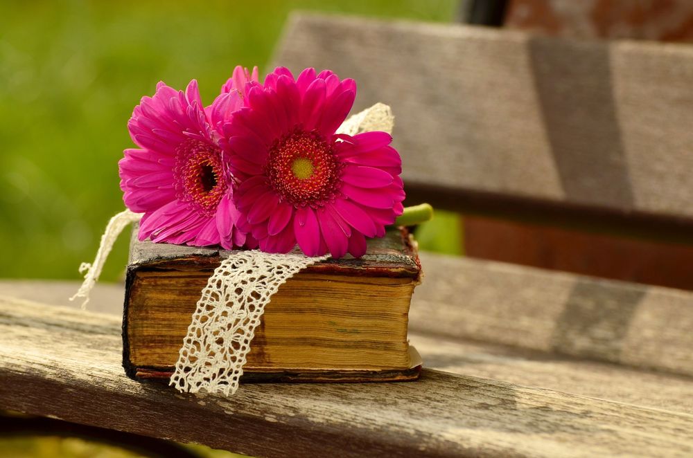 Обои для рабочего стола Розовые герберы, лежащие на старинной книге с кружевной лентой, оставленной на скамейке