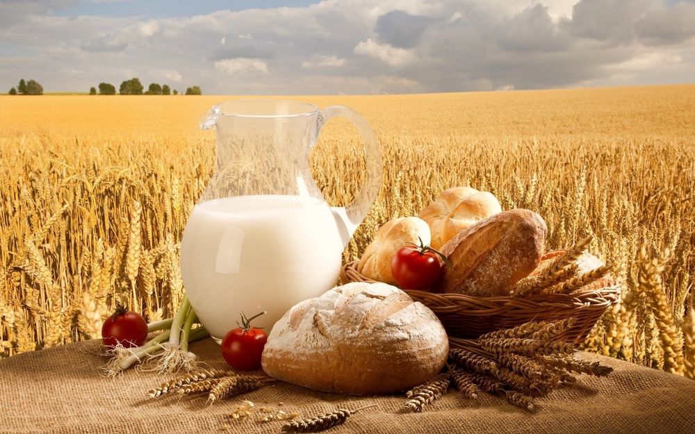 Обои для рабочего стола Несколько сортов хлеба, молоко в стеклянном кувшине, томаты и колосья пшеницы, на столике, натюрморт на фоне пшеничного поля и неба