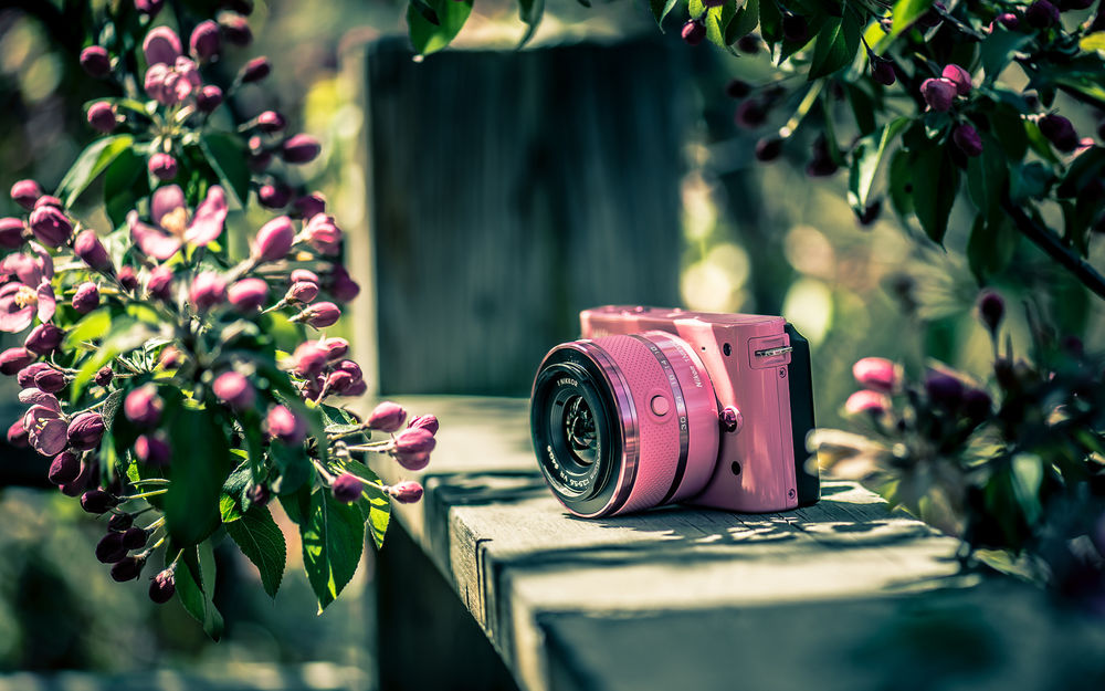 Обои для рабочего стола Фотоаппарат Nikon лежит на деревянном заборе под цветущим деревом яблони