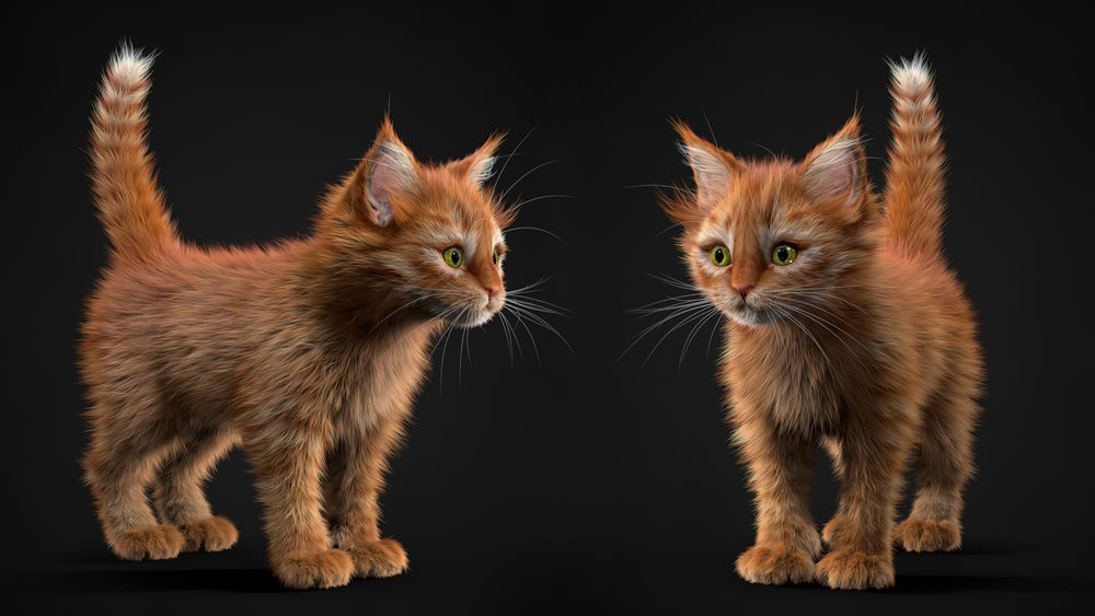 Обои для рабочего стола Два рыжих котенка, by Alina Makarenko