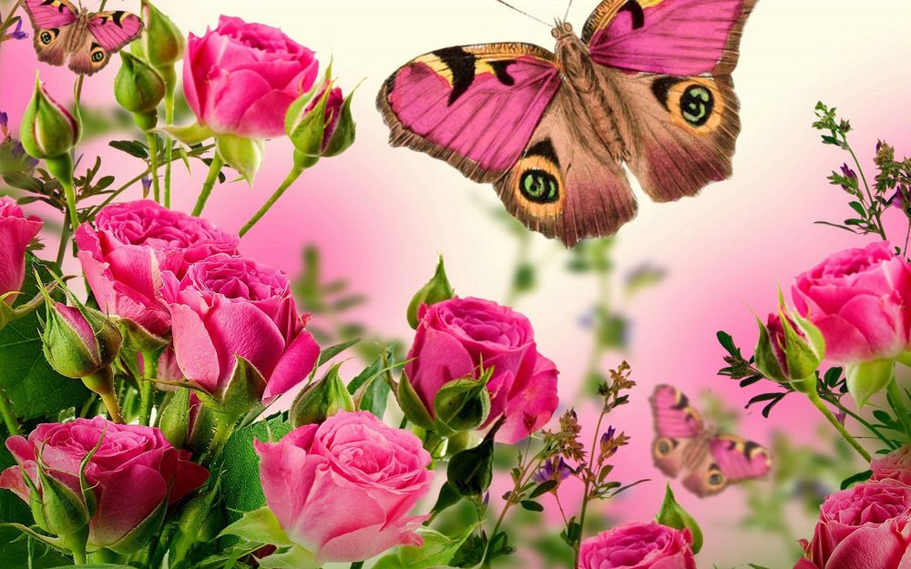 Обои для рабочего стола Красивые бабочки летают над кустами роз, на многоцветном фоне