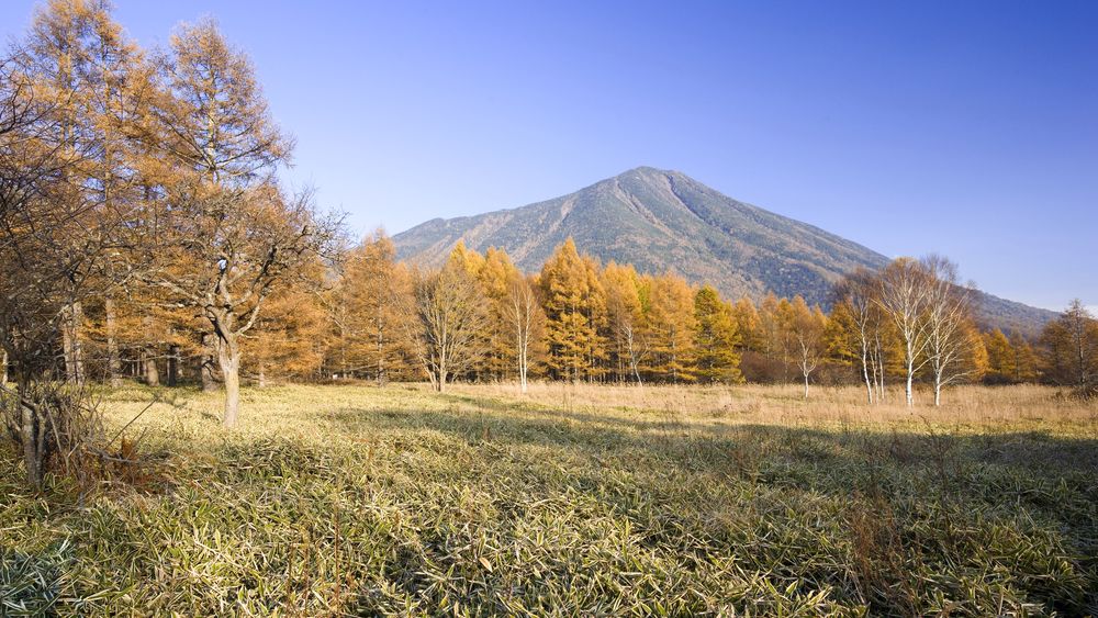 Обои для рабочего стола Tochigi, Japan / префектура Тотиги, Хонсю, Япония, поле, лес горы
