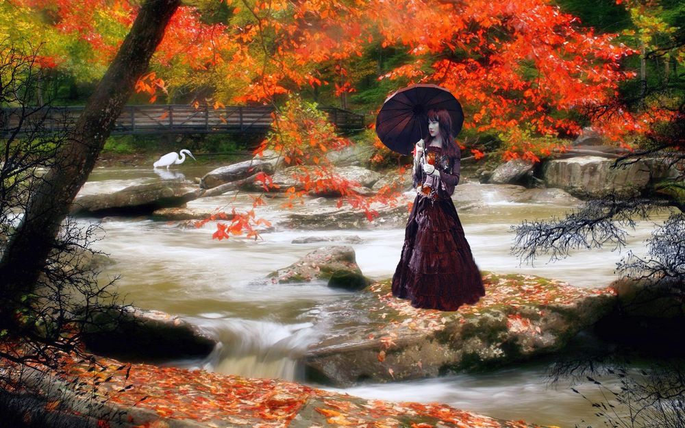 Обои для рабочего стола Девушка с зонтиком в восточном саду, вода, камни, белая цапля, деревья в осеннем наряде