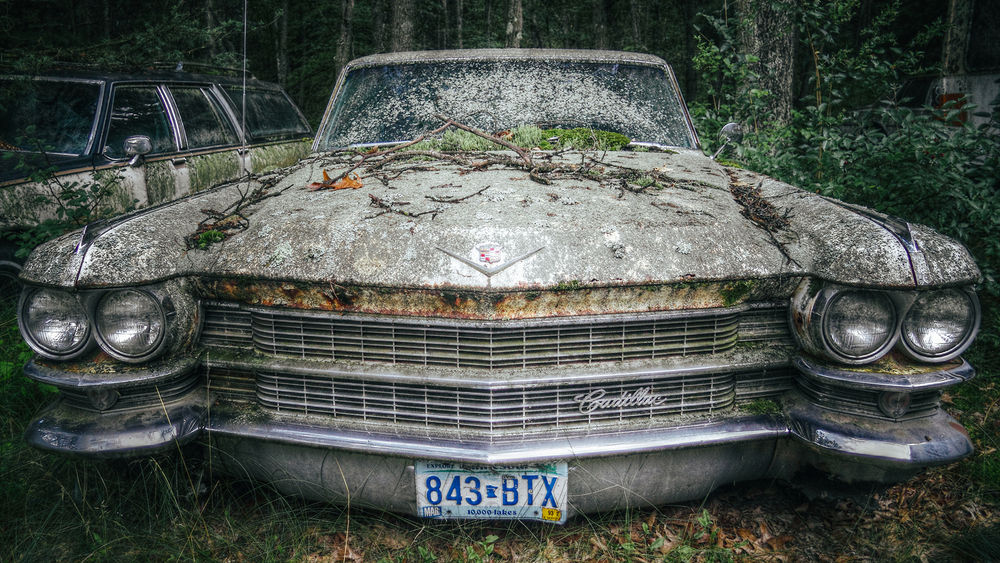 Обои для рабочего стола Заброшенный Cadillac в лесу