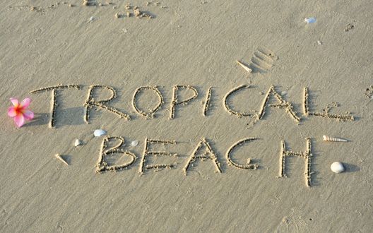 Обои на рабочий стол На белом пляже, усыпанном ракушками, надпись Tropical Beach / Тропический пляж, рядом лежит розовый цветок