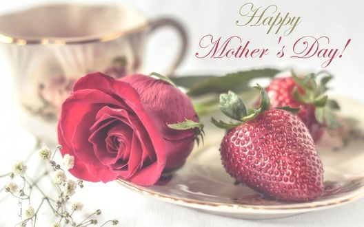 Обои на рабочий стол Чашка, ягоды клубники и красная роза (Happy Mothers Day! / Счастливого Дня матери!)