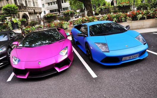 Обои на рабочий стол Шикарные автомобили Lamborghini розового и голубого цвета на улице города