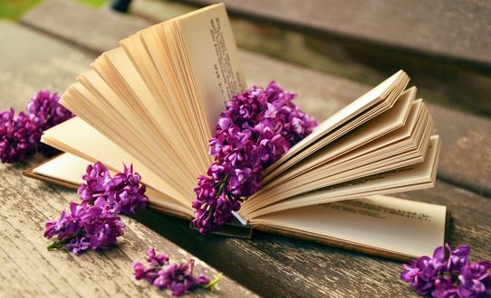 Обои на рабочий стол Раскрытая книга и цветы сирени, на деревянной скамейке, крупный план