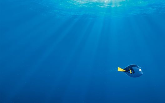 Обои на рабочий стол Главная героиня мультфильма В поисках Дори / Finding Dory плывет под водой