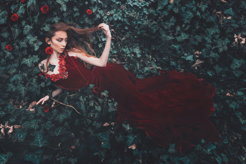 Обои на рабочий стол Девушка в красном платье лежит у роз, by Adam Bird Photography