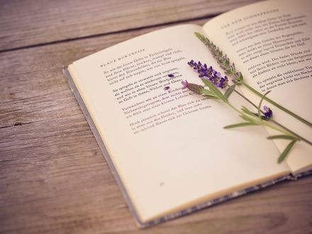 Обои на рабочий стол Веточка лаванды лежит на раскрытой книге