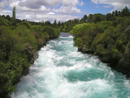 Обои на рабочий стол New Zealand / Новая Зеландия, бурная речка, меж заросших берегов