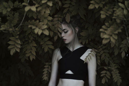 Обои на рабочий стол Девушка стоит в листве, фотограф Jovana Rikalo