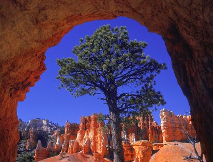 Обои на рабочий стол Bryce Canyon, Utah / Брайс-Каньон, Юта, вид в естественной рамке