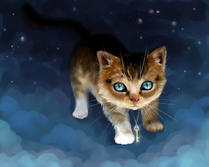 Обои на рабочий стол Котенок, на шее которого висит ключ, в ночном небе, by IPPO-Lita
