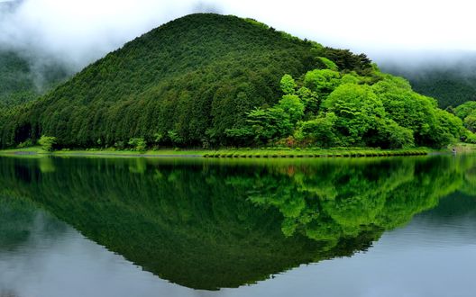 Обои на рабочий стол Гора, покрытая лесом отражается в воде на фоне тумана