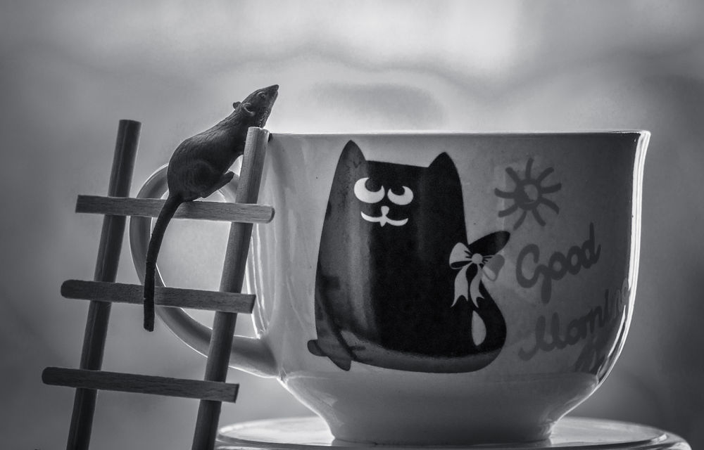 Обои для рабочего стола Мышонок на лестнице у чашки, где нарисован кот, (Good morning / доброе утро), фотограф Lyudmila Prokopenko