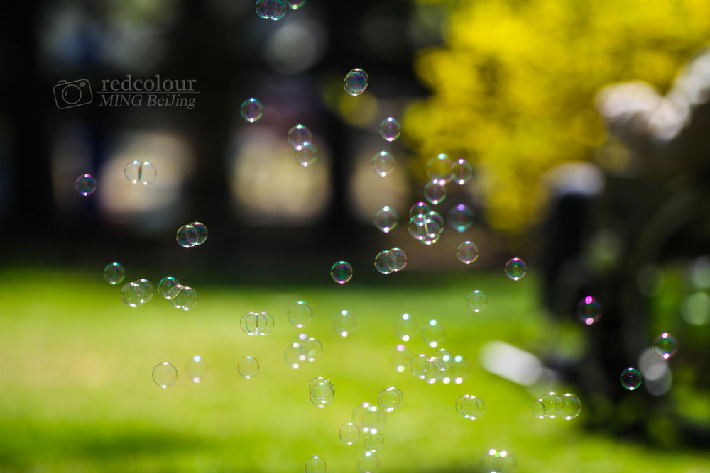 Обои для рабочего стола Мыльные пузыри на размытом фоне, фотограф Liu MingYang