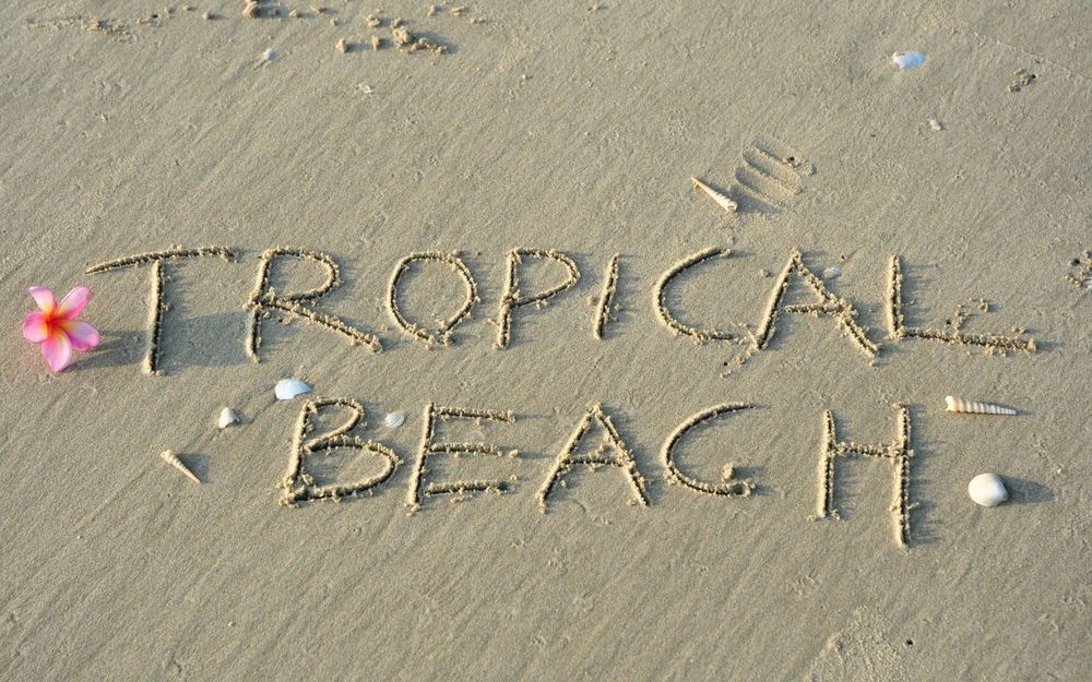 Обои для рабочего стола На белом пляже, усыпанном ракушками, надпись Tropical Beach / Тропический пляж, рядом лежит розовый цветок