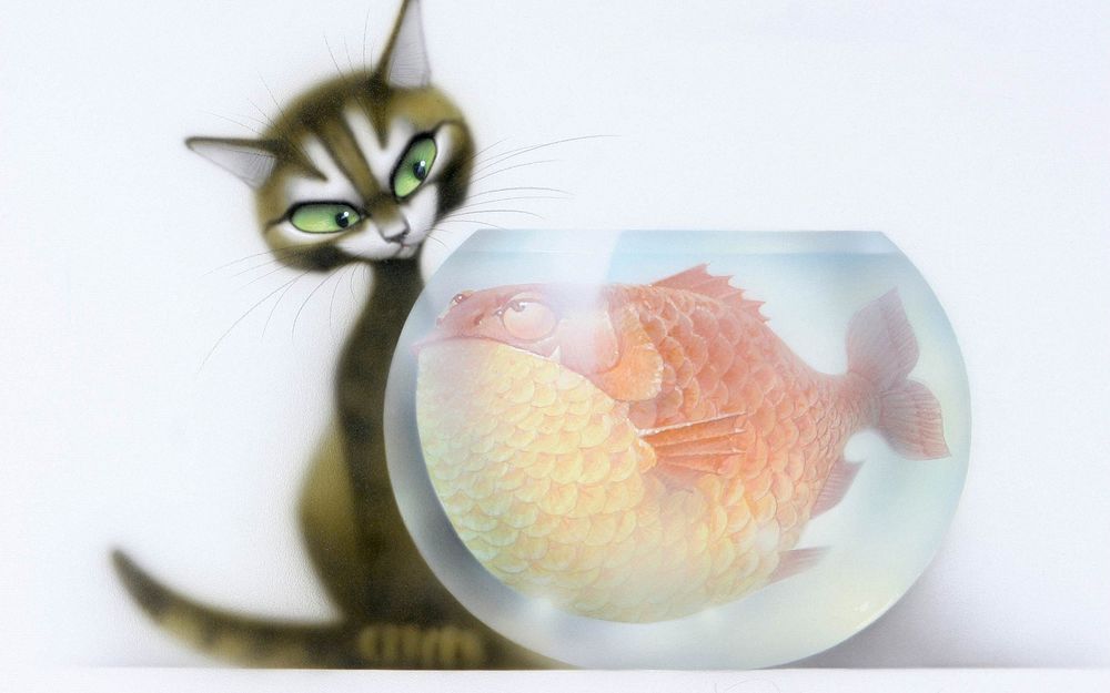 Обои для рабочего стола Кошка с зелеными глазами, смотрит на огромную рыбину в круглом аквариуме
