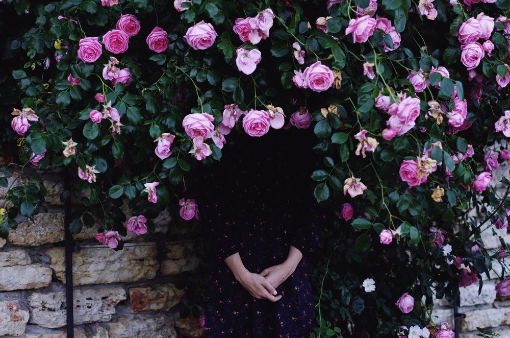 Обои для рабочего стола Девушка стоит в кустах розовых роз, by IrinaJoanne