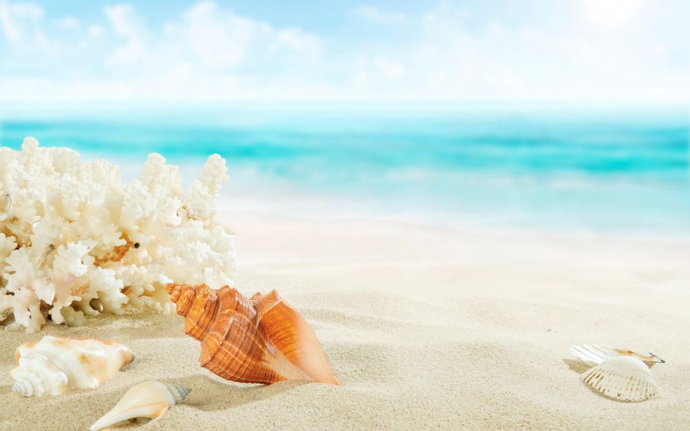 Обои для рабочего стола Раковины, ракушки и кораллы на белом песчаном пляже, на морском берегу