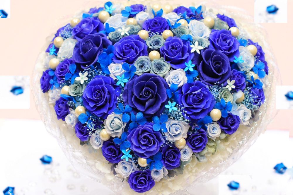 Обои для рабочего стола Сердце из синих роз на белом фоне