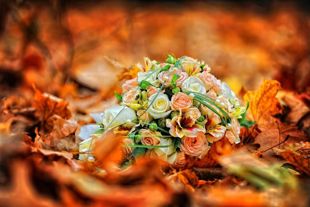 Букет Осенних Роз Фото