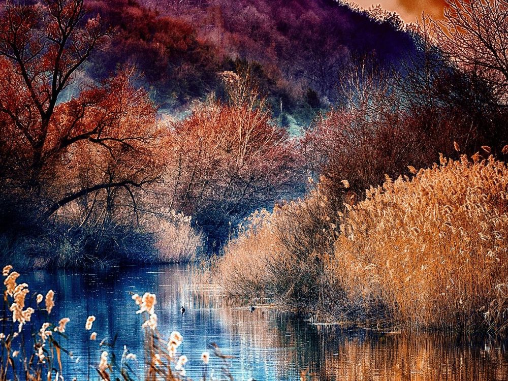 Обои для рабочего стола Осенние деревья, кустарники и трава вдоль реки, фотограф Christos Vladenidis