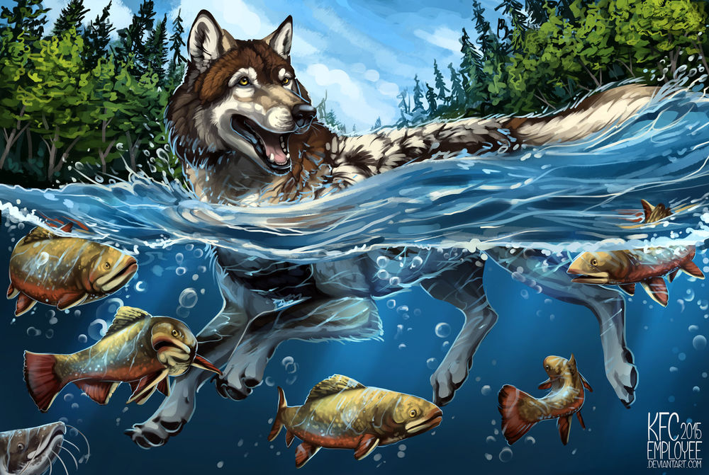 Обои для рабочего стола Волк в воде с рыбами, by KFCemployee