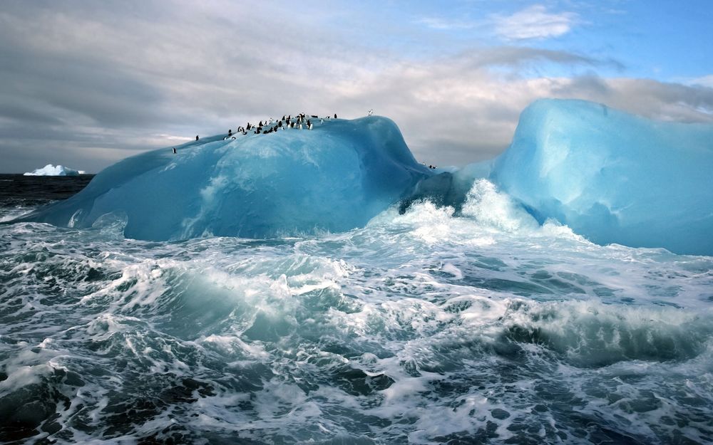 Обои для рабочего стола Колония пингвинов на айсберге, в шторм