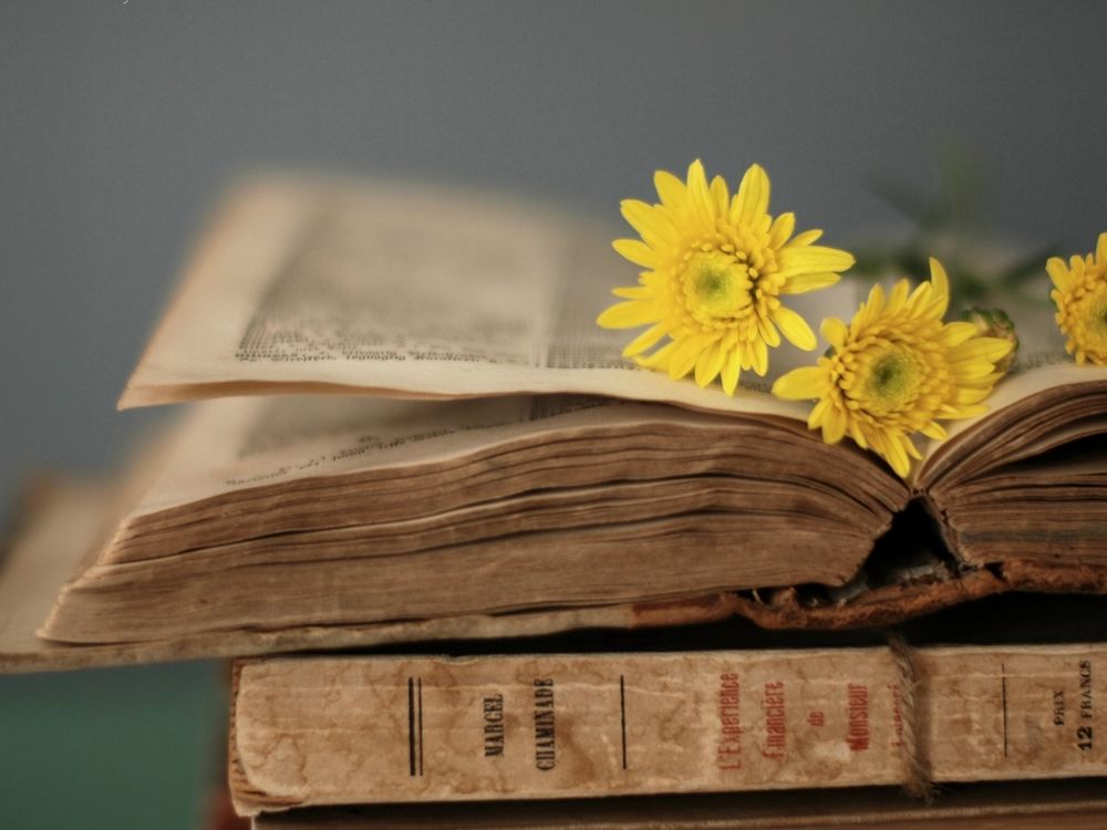 Обои для рабочего стола Желтые цветы лежат на раскрытой старой книге