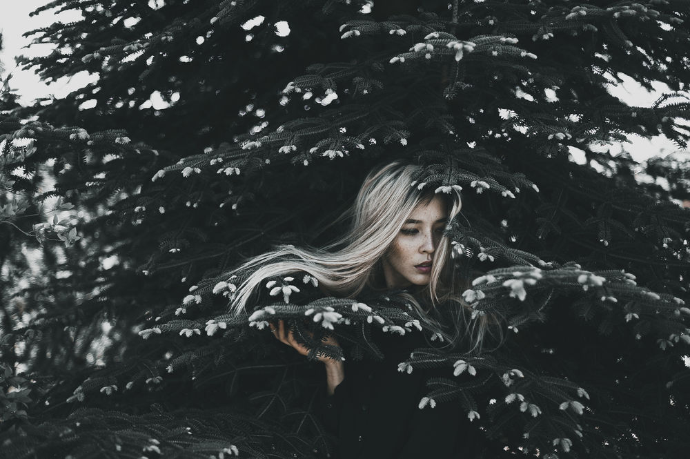 Обои для рабочего стола Девушка стоит у хвойного дерева, Kettenkarussell Photography