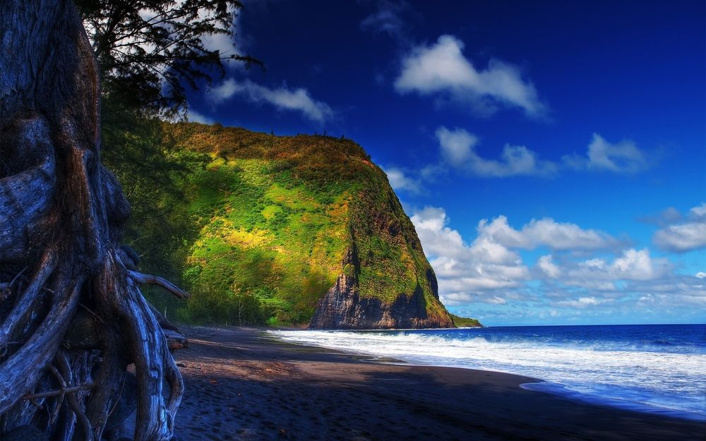 Обои для рабочего стола Hawaii, Big Island / Гавайи, Большой остров, берег, скалы, деревья, океан, небо