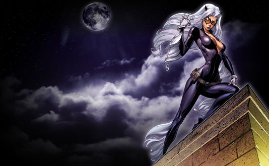 Обои на рабочий стол Catwoman / Женщина-кошка - героиня комиксов, на крыше здания, на фоне ночного неба
