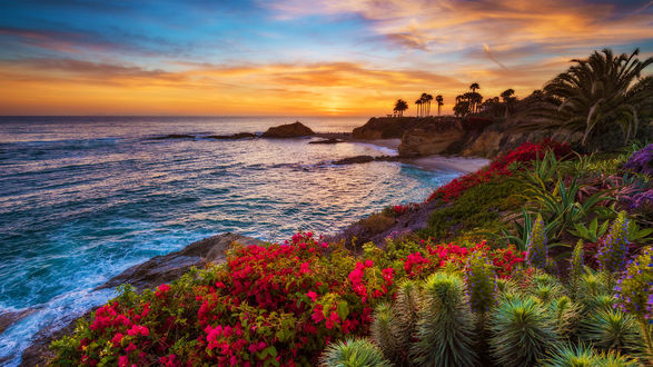 Обои на рабочий стол Пляж Laguna Beach / Лагуна-Бич, California / Калифорния, USA / США