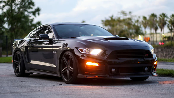 Обои на рабочий стол Черный Mustang / Мустанг возле парка