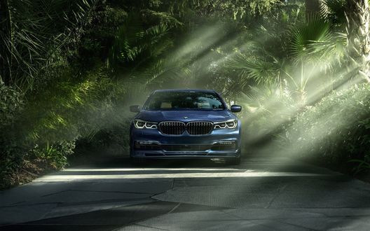 Обои на рабочий стол Автомобиль BMW / БМВ стоит среди тропических деревьев, освещенный лучами солнца