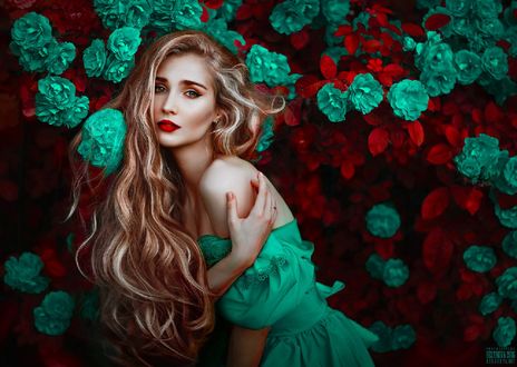 Обои на рабочий стол Девушка на фоне куста роз, фотограф Светлана Беляева