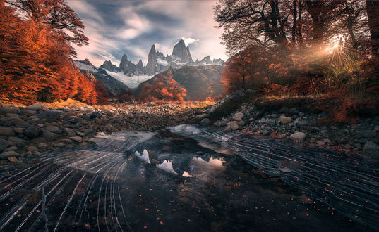 Обои на рабочий стол Работа последние дни осени, фотограф Max Rive