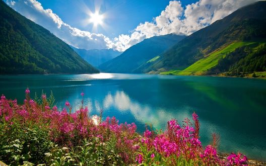 Обои на рабочий стол Italy, South Tyrol / Италия, Южный Тироль, вид озера, гор и неба, с цветами на переднем плане