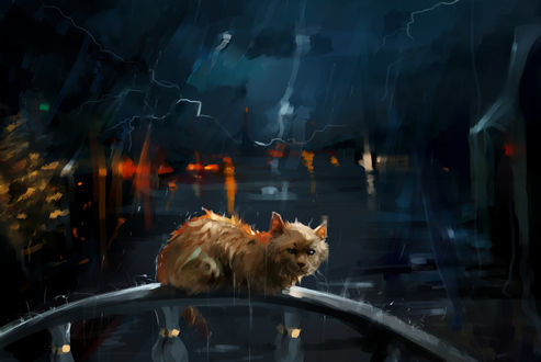 Обои на рабочий стол Брошеный кот под дождем, by SalamanDra-S