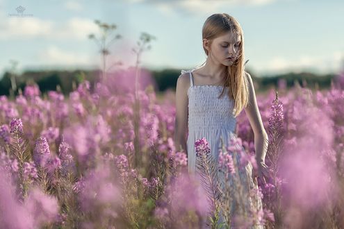 Обои на рабочий стол Девочка на поле с сиреневыми цветами, фотограф Махиня Любовь