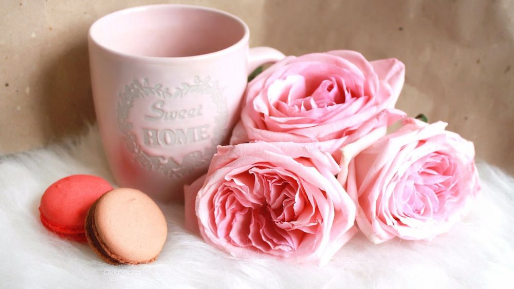 Обои для рабочего стола У кружки с надписью Sweet Home / Милый дом лежат три розовых розы и печенье макарун