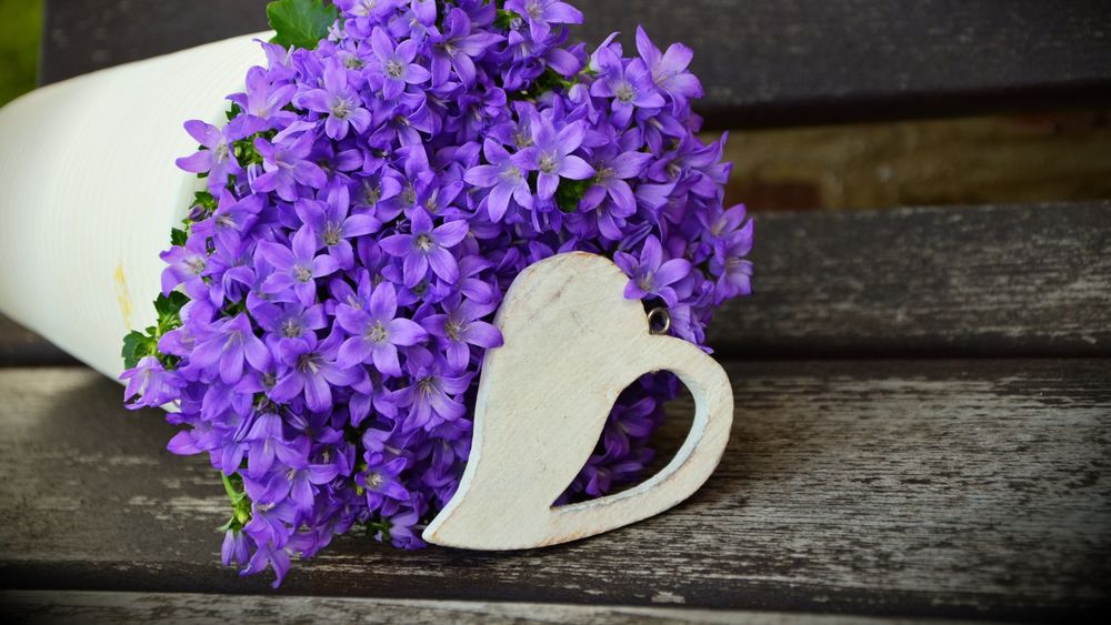 Обои для рабочего стола Букет фиолетовых цветов и деревянное сердечко на скамейке