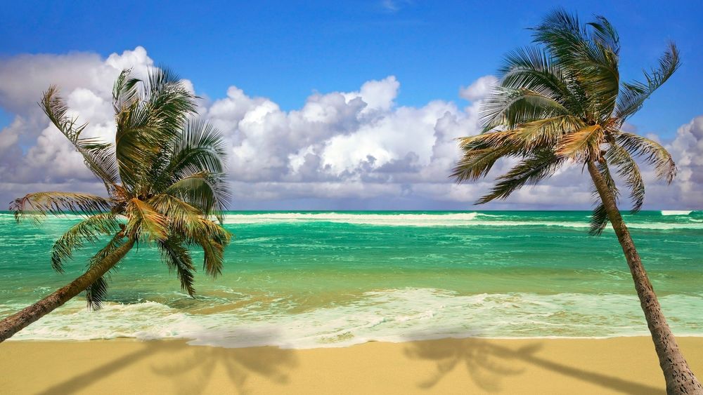 Обои для рабочего стола Пальмы на песчаном пляже на берегу океана, небо, облака