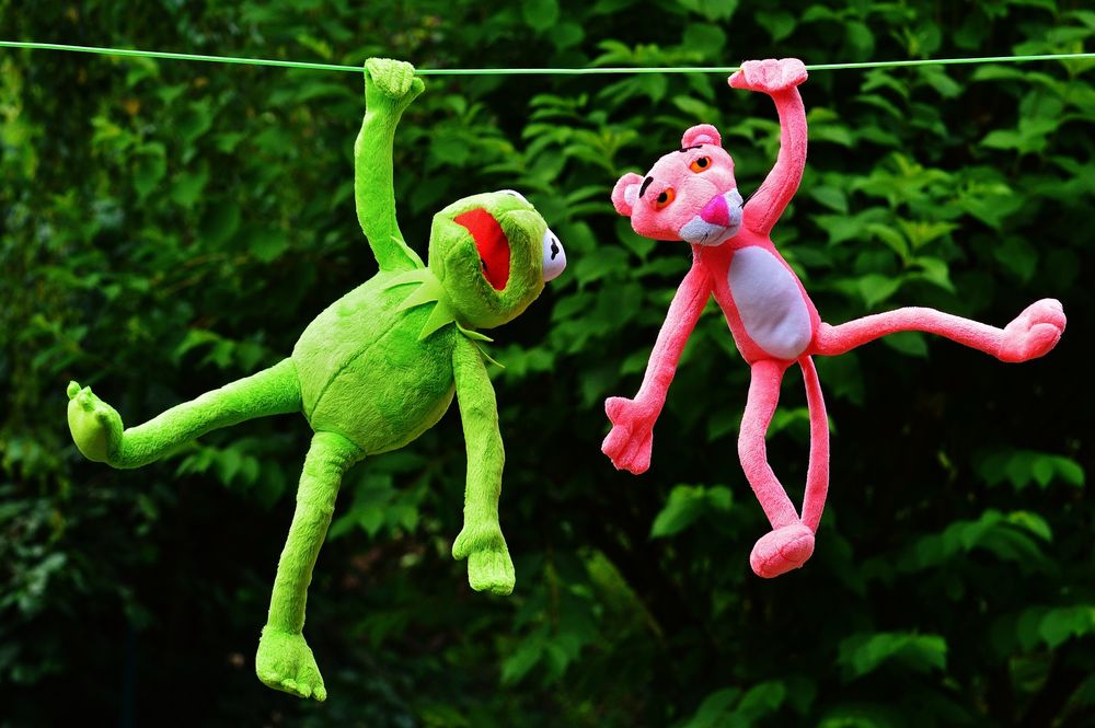 Обои на рабочий стол Куклы лягушонок Кермит и Розовая пантера сушатся на  веревке, на фоне зеленых листьев, обои для рабочего стола, скачать обои,  обои бесплатно